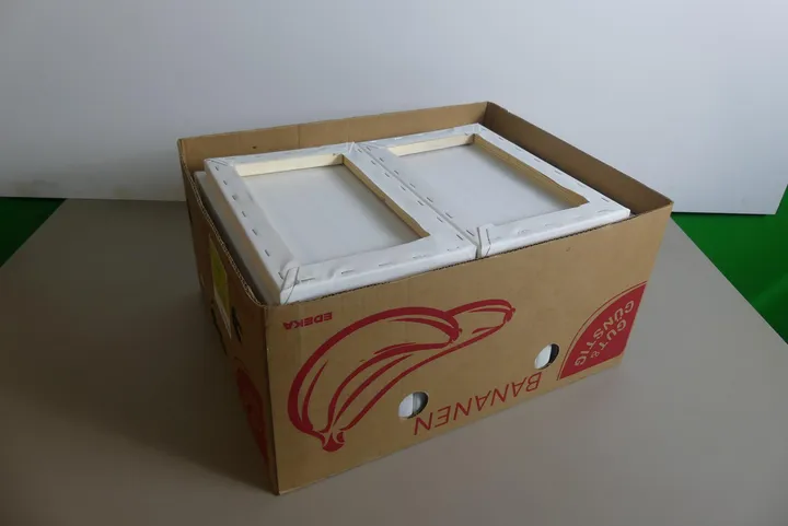 Konvolut Leinwände Umfang: Karton mit Inhalt / Maße in cm je ca. 30 x 20